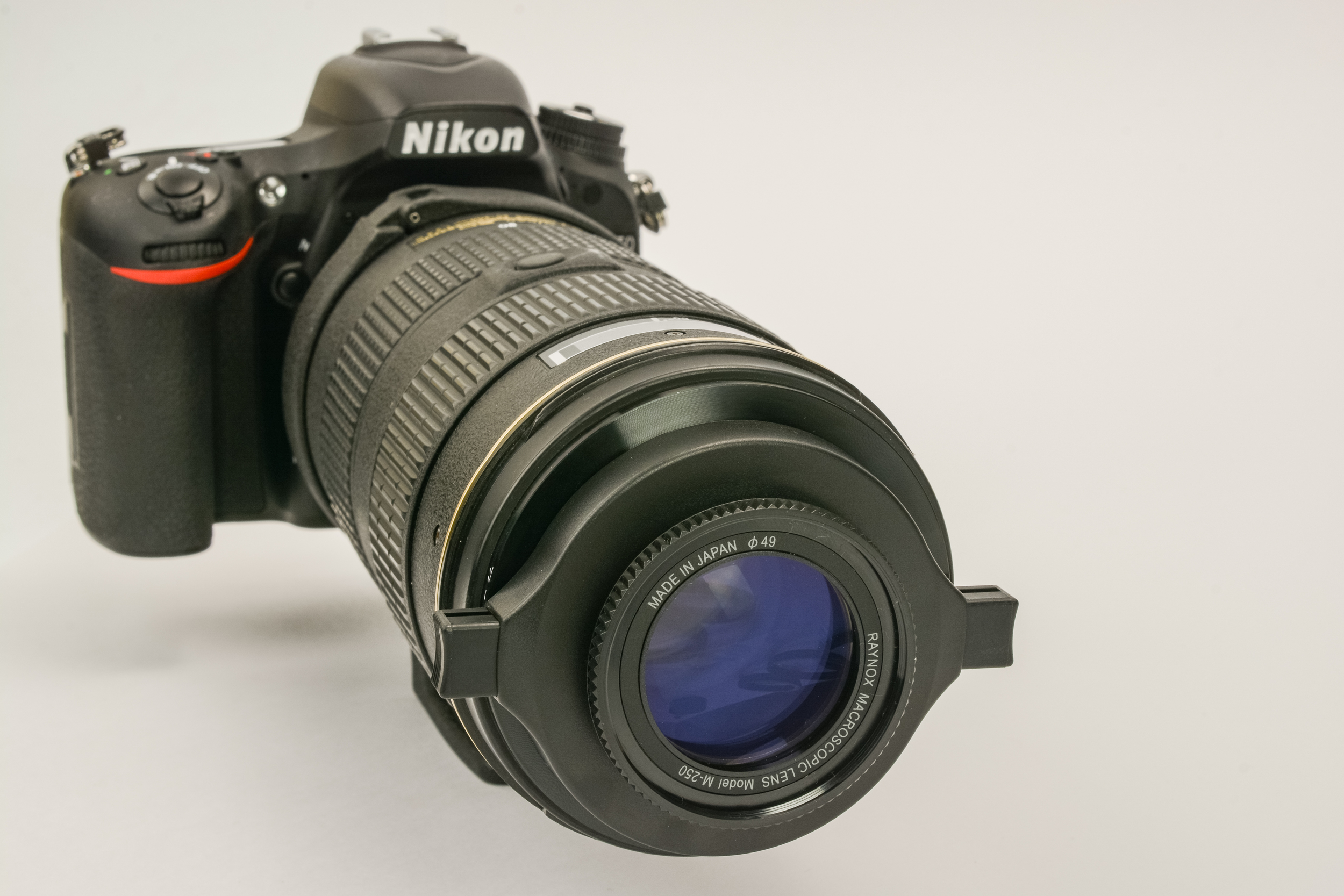 Review: Testing the Raynox DCR-250 (M-250) — peter bartlett